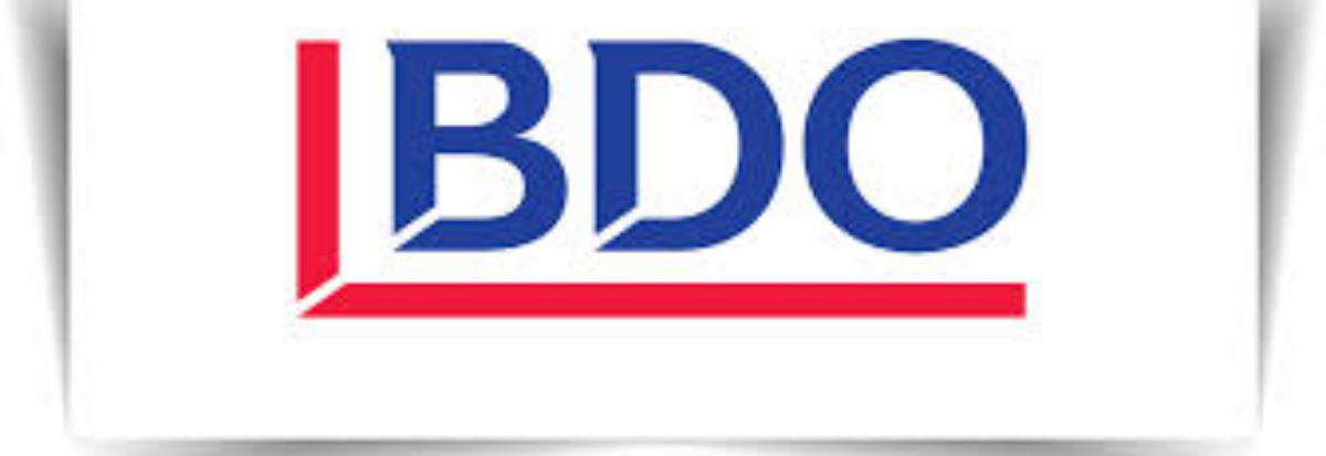 BDO-cup (Håndball sr.)